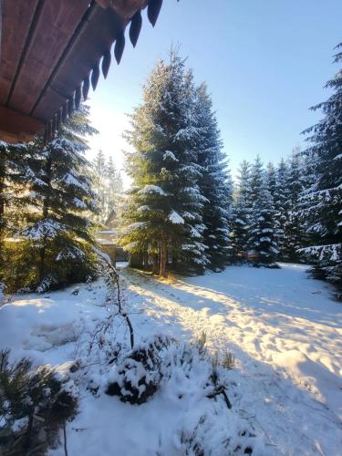 A környék, domek w zaczarowanym lesie in Istebna A környék, domek w zaczarowanym lesie in Istebna
