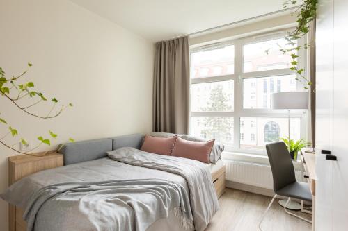 Cama, MILESTONE Krakow Center Student Living in Cracóvia Cama, MILESTONE Krakow Center Student Living in Cracóvia
