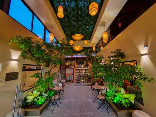 Lobby, Sibu Boutique Hotel in Monteverde Lobby, Sibu Boutique Hotel in Monteverde