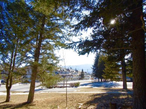 EVCharger, Free Parking, Ski, Golf, BBQ, Awesomeness in Invermere (BC) EVCharger, Free Parking, Ski, Golf, BBQ, Awesomeness in Invermere (BC)