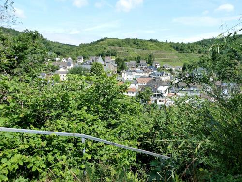 A környék, Relaxen im Weindorf Mayschoß Fewo 1 in Mayschoss A környék, Relaxen im Weindorf Mayschoß Fewo 1 in Mayschoss