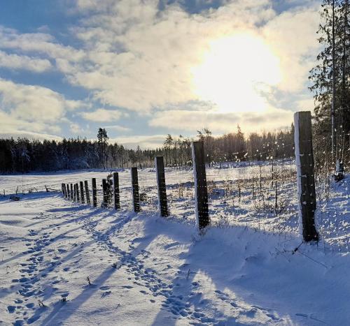 Brösarp Källagården Lilla Gårdslägenheten (Brosarp Kallagarden Lilla Gardslagenheten) in 布羅薩普 Brösarp Källagården Lilla Gårdslägenheten (Brosarp Kallagarden Lilla Gardslagenheten) in 布羅薩普