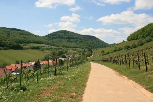 Surrounding environment, Ferienwohnung Pimer in Ranschbach Surrounding environment, Ferienwohnung Pimer in Ranschbach