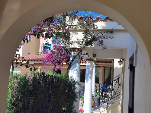 Elanthi Village Apartments in Zakynthos Island Elanthi Village Apartments in Zakynthos Island