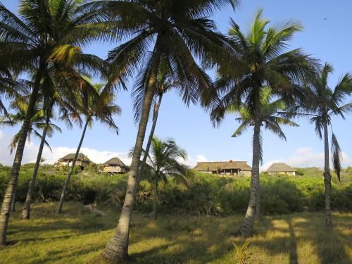 Ngoại cảnh khách sạn, Travessia Beach Lodge in Tofo Ngoại cảnh khách sạn, Travessia Beach Lodge in Tofo