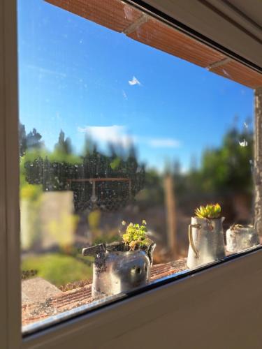 La Cascaruda Deptos in 페리토 모레노 La Cascaruda Deptos in 페리토 모레노