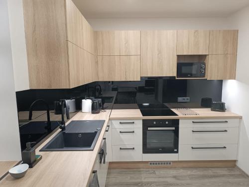 Kitchen, Apartmany Na Lucni in Bystrice Nad Pernstejnem Kitchen, Apartmany Na Lucni in Bystrice Nad Pernstejnem