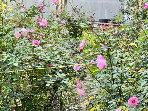 NHÀ NGHỈ PHÚC ANH (cơ sở 1) (NHA NGHI PHUC ANH (co so 1)) in Bac Kan NHÀ NGHỈ PHÚC ANH (cơ sở 1) (NHA NGHI PHUC ANH (co so 1)) in Bac Kan