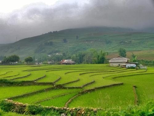 This photo about Tavan Homestay shared on HyHotel.com