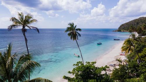 ชายหาด, South West Bay Cabanas in โปรวิเดงเซีย ชายหาด, South West Bay Cabanas in โปรวิเดงเซีย