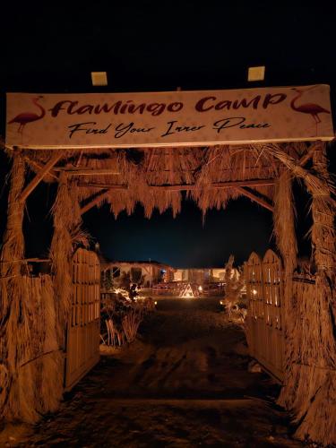 נוף חוץ, flamingo camp in פאיום נוף חוץ, flamingo camp in פאיום