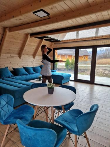 Vila Homoljska Idila1 Banja Zdrelo in Petrovac Na Mlavi Vila Homoljska Idila1 Banja Zdrelo in Petrovac Na Mlavi