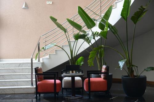편의 시설/서비스, Hotel Timoulay and Spa Agadir in 오트 파운티 편의 시설/서비스, Hotel Timoulay and Spa Agadir in 오트 파운티