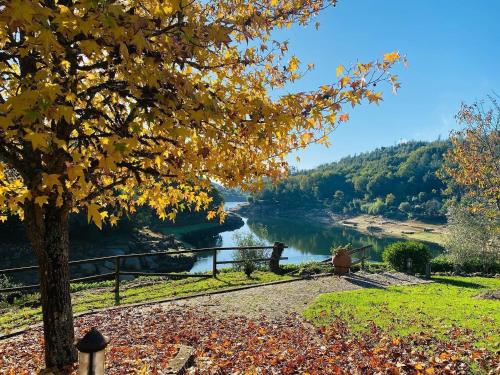 Quinta da Memória Village (Quinta da Memoria Village) in วีมิเยโร (วิเซว) Quinta da Memória Village (Quinta da Memoria Village) in วีมิเยโร (วิเซว)
