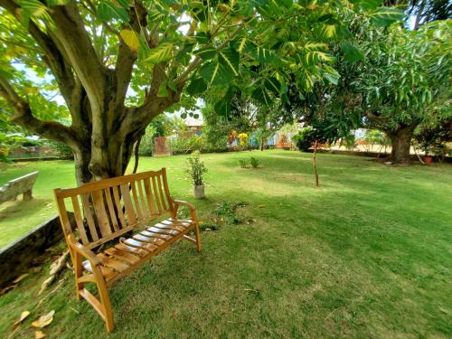 Cảnh quan, The Little Dream House in Little Corn Island Cảnh quan, The Little Dream House in Little Corn Island
