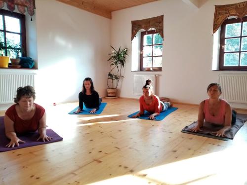 ห้องฟิตเนส, Yogashrama traditional in ยาบลอนแนนัดออร์ลิชี ห้องฟิตเนส, Yogashrama traditional in ยาบลอนแนนัดออร์ลิชี