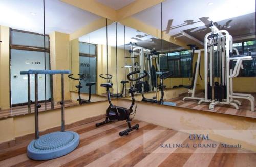 The Kalinga Resort Manali - Heaven In Mountains in Simsa Village The Kalinga Resort Manali - Heaven In Mountains in Simsa Village