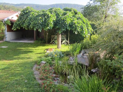 Kert, Gîte des Grands Clos (Gite des Grands Clos) in Saint-Ame Kert, Gîte des Grands Clos (Gite des Grands Clos) in Saint-Ame