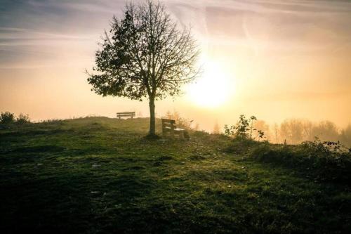 A környék, Gîte des Grands Clos (Gite des Grands Clos) in Saint-Ame A környék, Gîte des Grands Clos (Gite des Grands Clos) in Saint-Ame