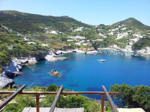 Miciosa - Immobilevante in Ponza Island Miciosa - Immobilevante in Ponza Island
