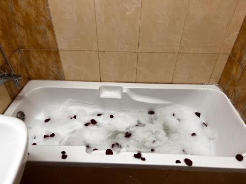 Blisspot Vacation Home near Al Falah Plaza Blisspot Vacation Home near Al Falah Plaza
