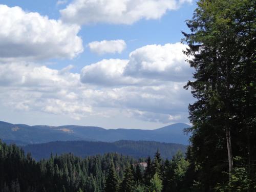 This photo about Apartment Grand Monastery shared on HyHotel.com