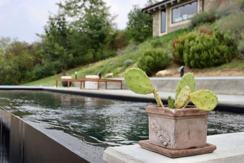 游泳池, Villa d'Escale Piemonte with private pool in 蒙納斯特洛波米達村 游泳池, Villa d'Escale Piemonte with private pool in 蒙納斯特洛波米達村