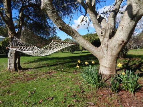 Garden, Lupton Lodge in Whangarei Garden, Lupton Lodge in Whangarei