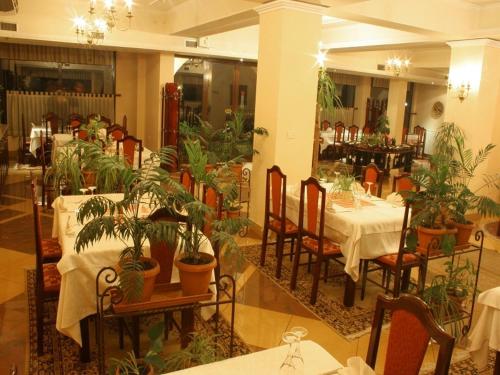 Étterem, Hotel Baron in Ali Demi Étterem, Hotel Baron in Ali Demi
