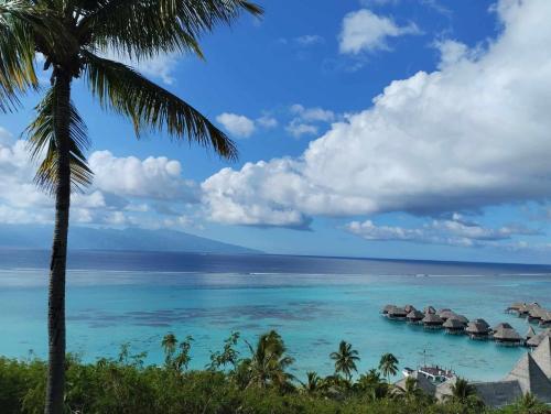 Nearby attraction, Tema'e Beach House in Moorea Island Nearby attraction, Tema'e Beach House in Moorea Island