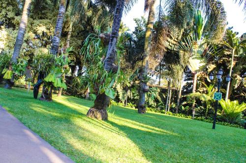 zahrada, SHERBOURNE LODGE in Kitwe zahrada, SHERBOURNE LODGE in Kitwe