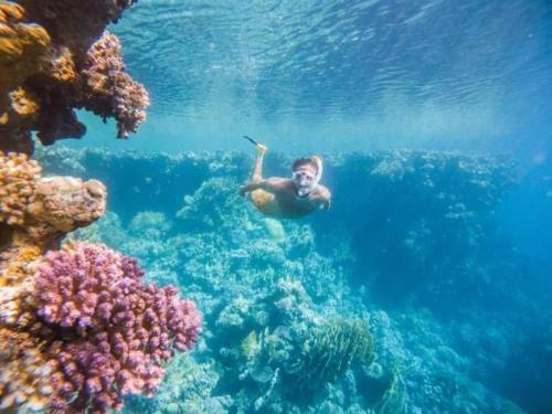 Camp Soteria Resort:Pacific Ocean on your doorstep in San Agustin (Surigao del Sur) Camp Soteria Resort:Pacific Ocean on your doorstep in San Agustin (Surigao del Sur)