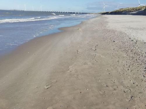Instalações, Villa De Banjaard Zeeland in Kamperland Instalações, Villa De Banjaard Zeeland in Kamperland