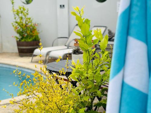 Instalações, Villa da Graca - Selfcatering or B&B in Baía Mossel Instalações, Villa da Graca - Selfcatering or B&B in Baía Mossel