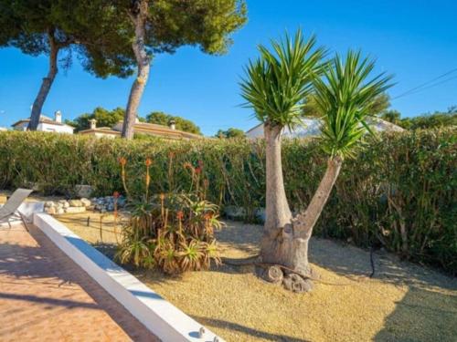 Casa Maria Granadella, three bedroom villa with private pool in Costa Nova Casa Maria Granadella, three bedroom villa with private pool in Costa Nova