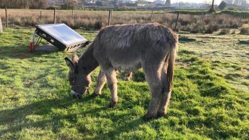 Casa da Avó Miquinhas (Casa da Avo Miquinhas) in ปาโกส เด เฟเรร่า Casa da Avó Miquinhas (Casa da Avo Miquinhas) in ปาโกส เด เฟเรร่า
