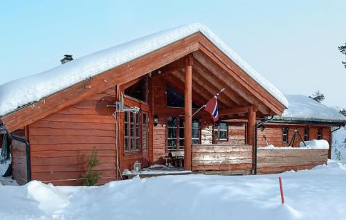 Amazing Home In Dalen With Wifi