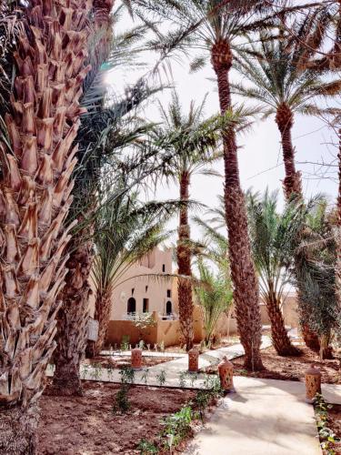 Taman, Zagora Oasis Lodge in Zagora Taman, Zagora Oasis Lodge in Zagora