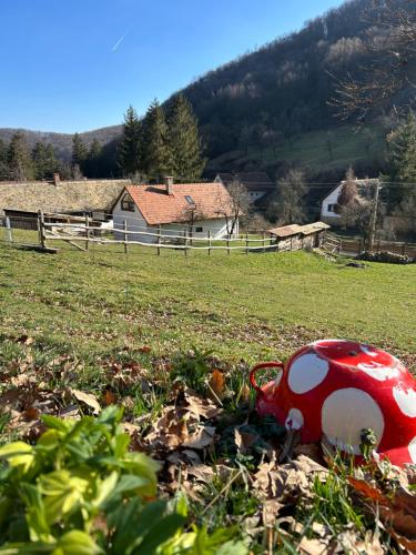 Kistücsök Vendégház Óbánya (Kistucsok Vendeghaz Obanya) in โอบันยา Kistücsök Vendégház Óbánya (Kistucsok Vendeghaz Obanya) in โอบันยา