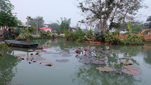 Check-In Resort in Chai Nat Check-In Resort in Chai Nat