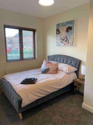 Close to Belfast City Centre.Modern Opened Planned