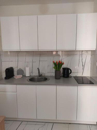 Apartman Lenka in Banja Koviljaca Apartman Lenka in Banja Koviljaca