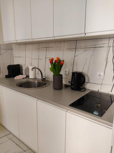 Apartman Lenka in Banja Koviljaca Apartman Lenka in Banja Koviljaca