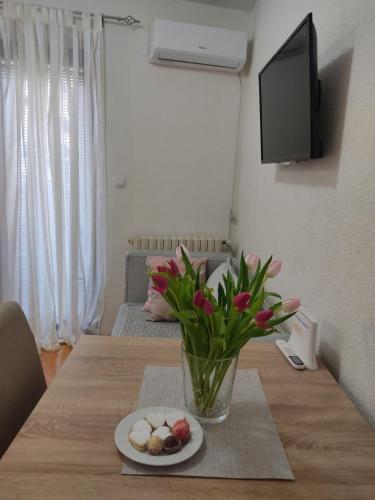 Apartman Lenka in Banja Koviljaca Apartman Lenka in Banja Koviljaca