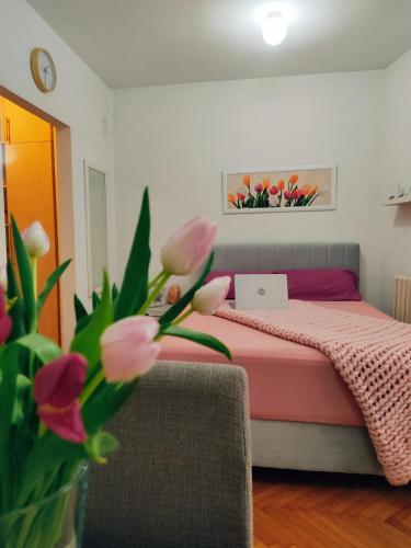 Apartman Lenka in Banja Koviljaca Apartman Lenka in Banja Koviljaca