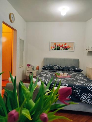 Apartman Lenka in Banja Koviljaca Apartman Lenka in Banja Koviljaca