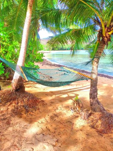 ชายหาด, Ravita Cove HomeAway from Home HomeStay in เกาะมาตาคาวา เลวู ชายหาด, Ravita Cove HomeAway from Home HomeStay in เกาะมาตาคาวา เลวู