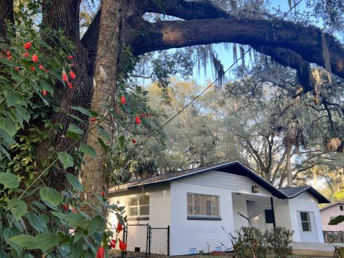 Exterior view, Country Welcome in Micanopy (FL) Exterior view, Country Welcome in Micanopy (FL)