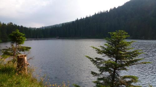 Les Bouquetins in Stosswihr Les Bouquetins in Stosswihr