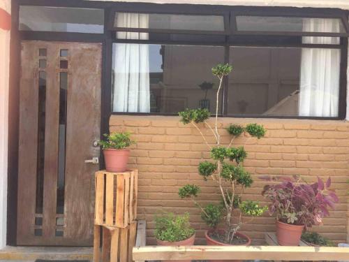 Los Huacales Apartamento in Oaxaca Los Huacales Apartamento in Oaxaca